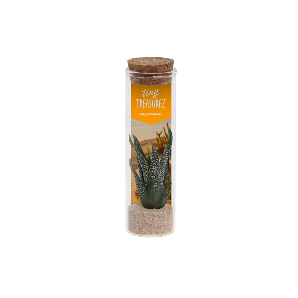 Tiny Treasurez® - Message in a bottle small