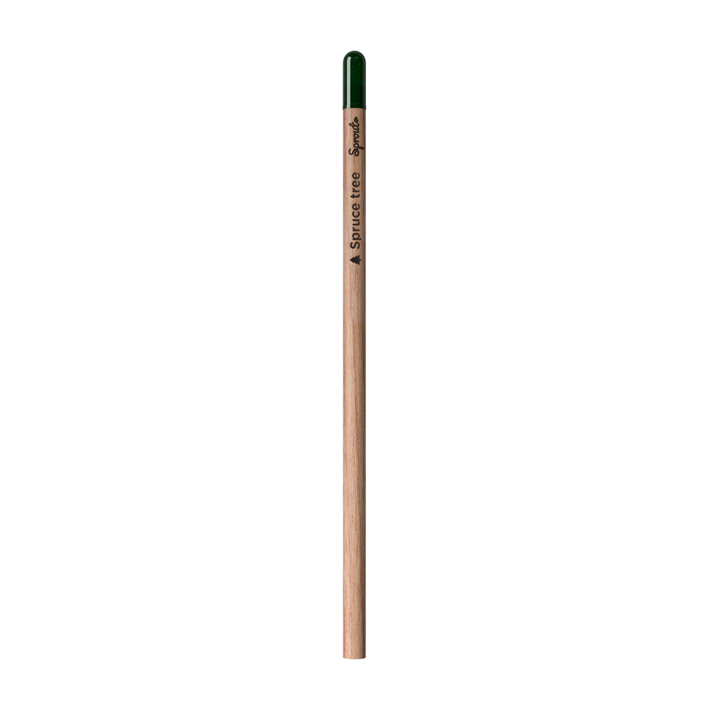 Sprout | Pencil - Spruce Written In English