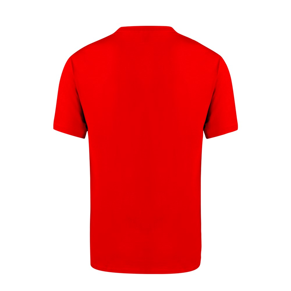 Kleuren T-Shirt Volwassene Seiyo