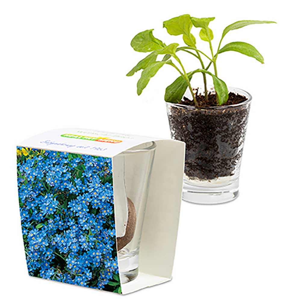 Expresso-glas met zaden - individueel