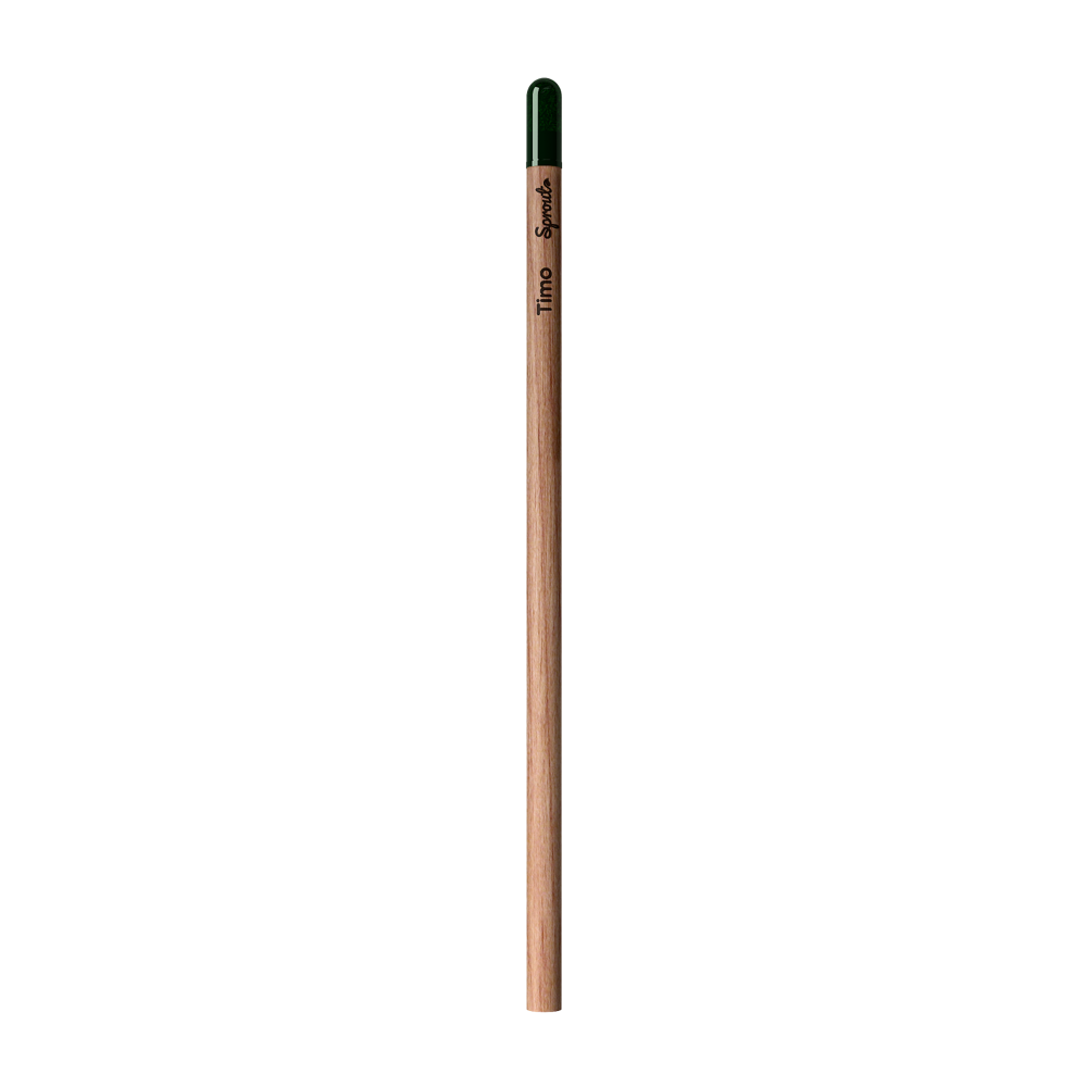 Sprout | Pencil - Thyme Written In Italy