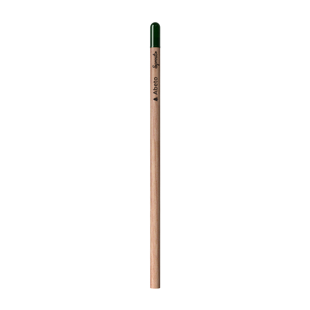 Sprout | Pencil - Spruce Written In Spanish