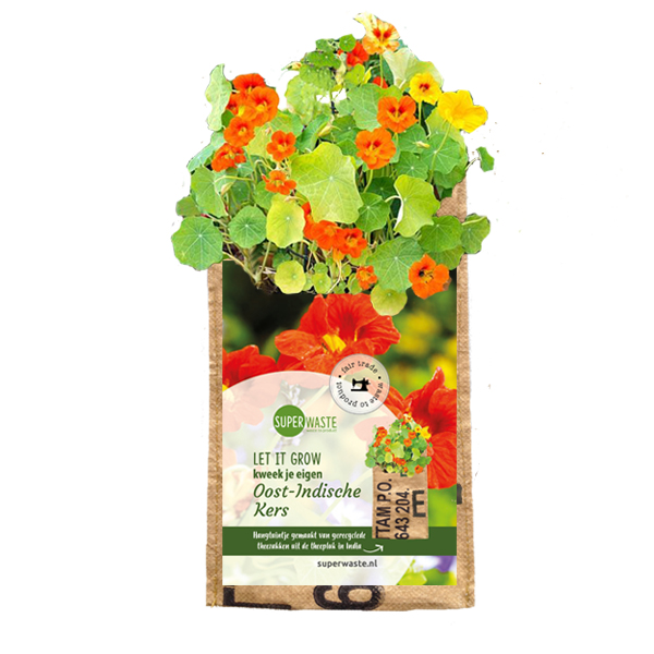 Hangtuintje oost-indische kers